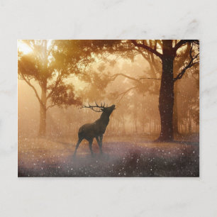 Deer Antler Meadow Briefkaart