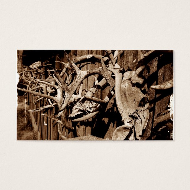 Deer Antlers Visitekaartjes (Voorkant)