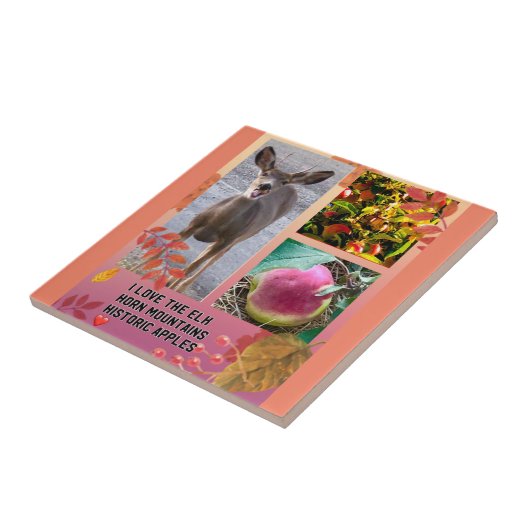 Deer Apple ❤️ Tegeltje (Zijkant)