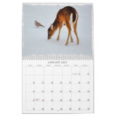 Deer Art Kalender (Jan 2027)