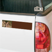 Deer Background-Bumpersticker Bumpersticker (Op Truck)