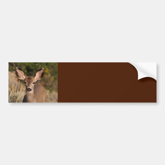 Deer Background-Bumpersticker Bumpersticker (Voorkant)
