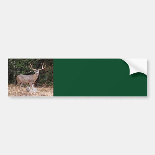Deer Background-Bumpersticker Bumpersticker (Voorkant)