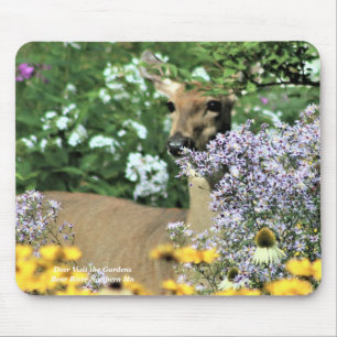 Deer Bezoek de tuinen dichtbij Muismat