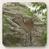 Deer Bier Onderzetter (Voorkant)