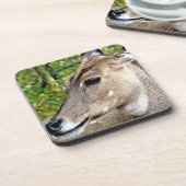 DEER BIER ONDERZETTER (Linkerzijde)