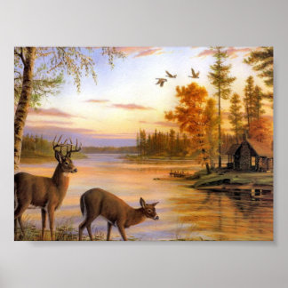 Deer bij Lake Poster