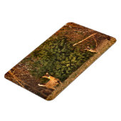 Deer bij Sunrise Magneet (Linkerzijde)