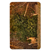 Deer bij Sunrise Magneet (Verticaal)