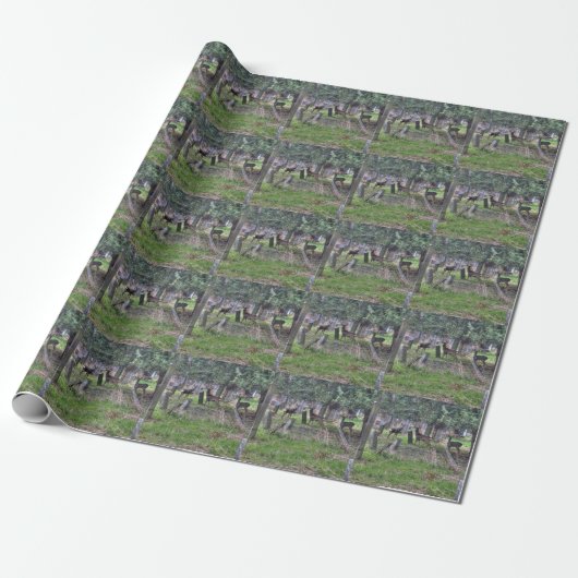 Deer bij Zentralfriedhof Cadeaupapier (Uitgerold)