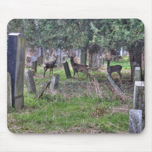 Deer bij Zentralfriedhof Muismat (Voorkant)