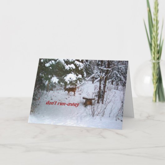 Deer Birthday-Funny Kaart (Voorkant)