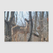 Deer Bossen herfst Tissuepapier (Voorkant)