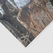 Deer Bossen herfst Tissuepapier (Detail)