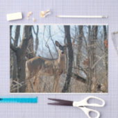 Deer Bossen herfst Tissuepapier (Craft)
