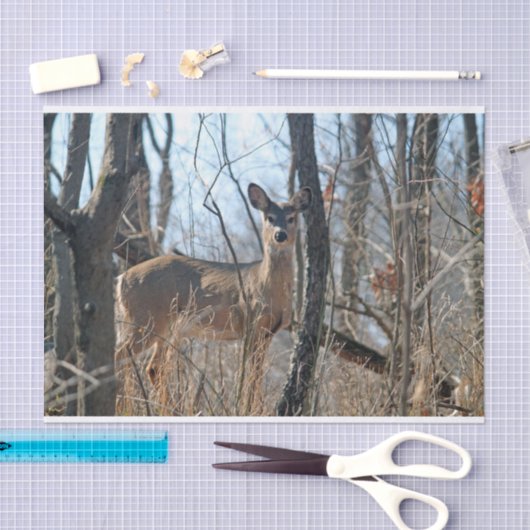 Deer Bossen herfst Tissuepapier (Craft)