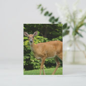 Deer Briefkaart (Staand voorkant)