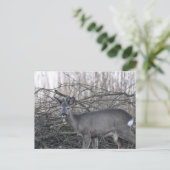 Deer Briefkaart (Staand voorkant)