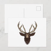 Deer Briefkaart (Voorkant / Achterkant)