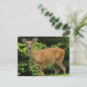 Deer Briefkaart (Staand voorkant)