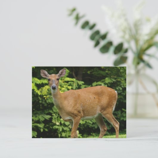 Deer Briefkaart (Staand voorkant)