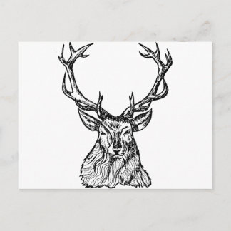 Deer Briefkaart