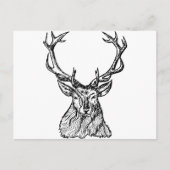 Deer Briefkaart (Voorkant)