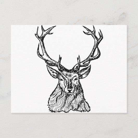 Deer Briefkaart (Voorkant)