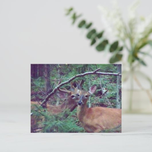 Deer Briefkaart (Staand voorkant)