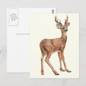Deer Briefkaart (Voorkant / Achterkant)