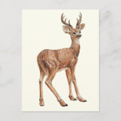 Deer Briefkaart (Voorkant)