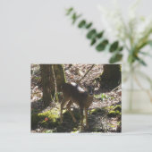 Deer Briefkaart (Staand voorkant)