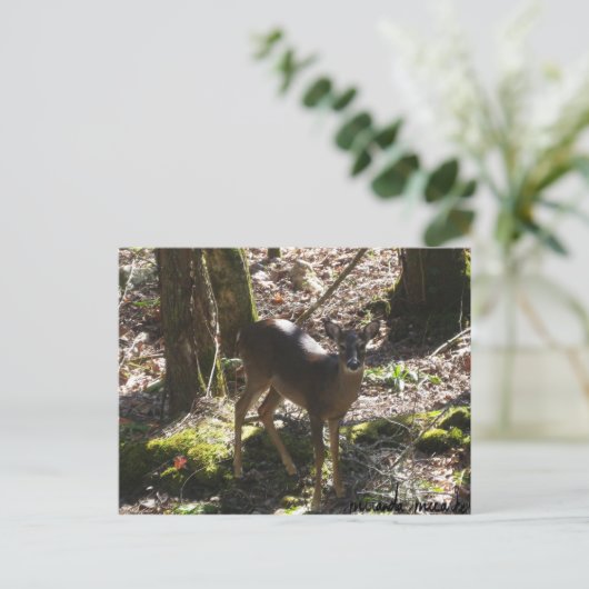 Deer Briefkaart (Staand voorkant)