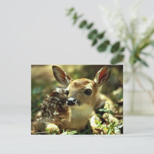 Deer Briefkaart (Staand voorkant)