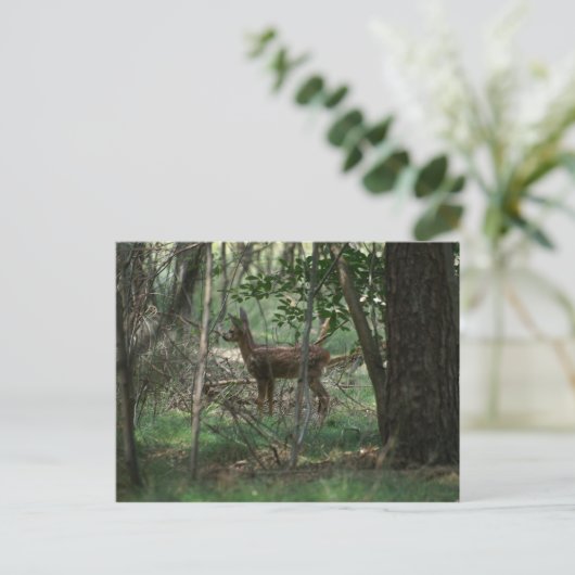 Deer Briefkaart (Staand voorkant)