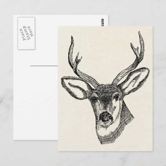  Deer Briefkaart (Voorkant / Achterkant)