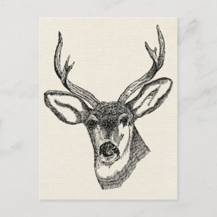 Deer Briefkaart