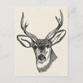  Deer Briefkaart