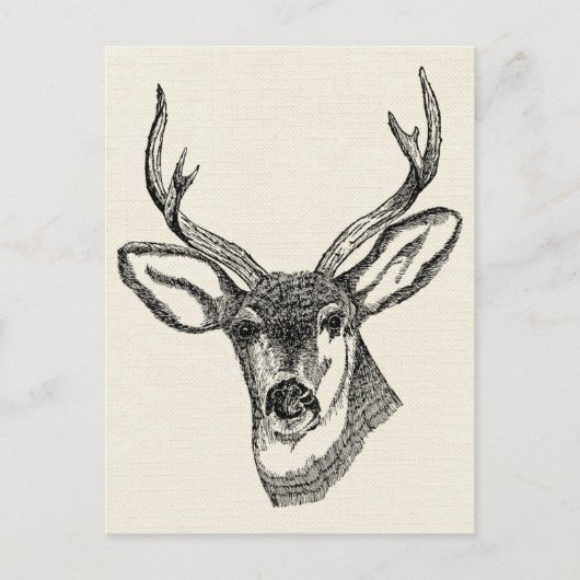  Deer Briefkaart (Voorkant)