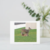 Deer Briefkaart (Staand voorkant)