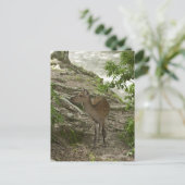 Deer Briefkaart (Staand voorkant)