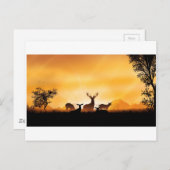 Deer Briefkaart (Voorkant / Achterkant)