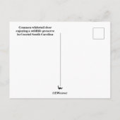 Deer Briefkaart (Achterkant)