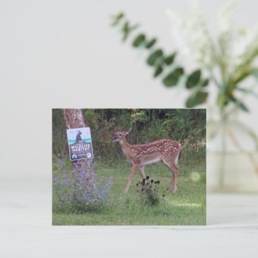 Deer Briefkaart (Staand voorkant)