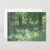 Deer Briefkaart (Voorkant / Achterkant)