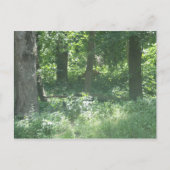 Deer Briefkaart (Voorkant)