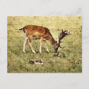 DEER BRIEFKAART