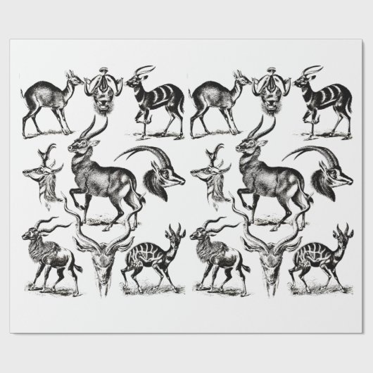 Deer Buck Antelope Animals wildlife Illustrations Cadeaupapier (Vlak)