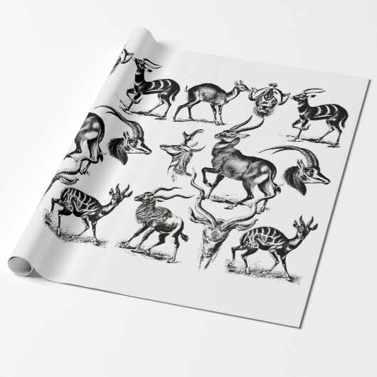 Deer Buck Antelope Animals wildlife Illustrations Cadeaupapier (Uitgerold)