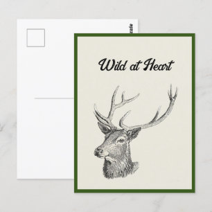 Deer Buck Head met gewei zwart-wit kunst Briefkaart